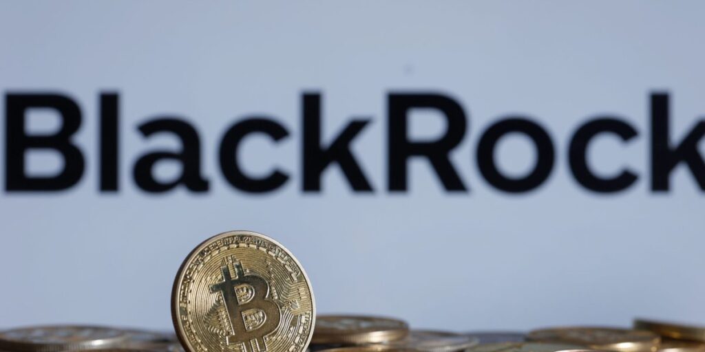 BlackRock report adds fuel to debate over Bitcoin price correlations